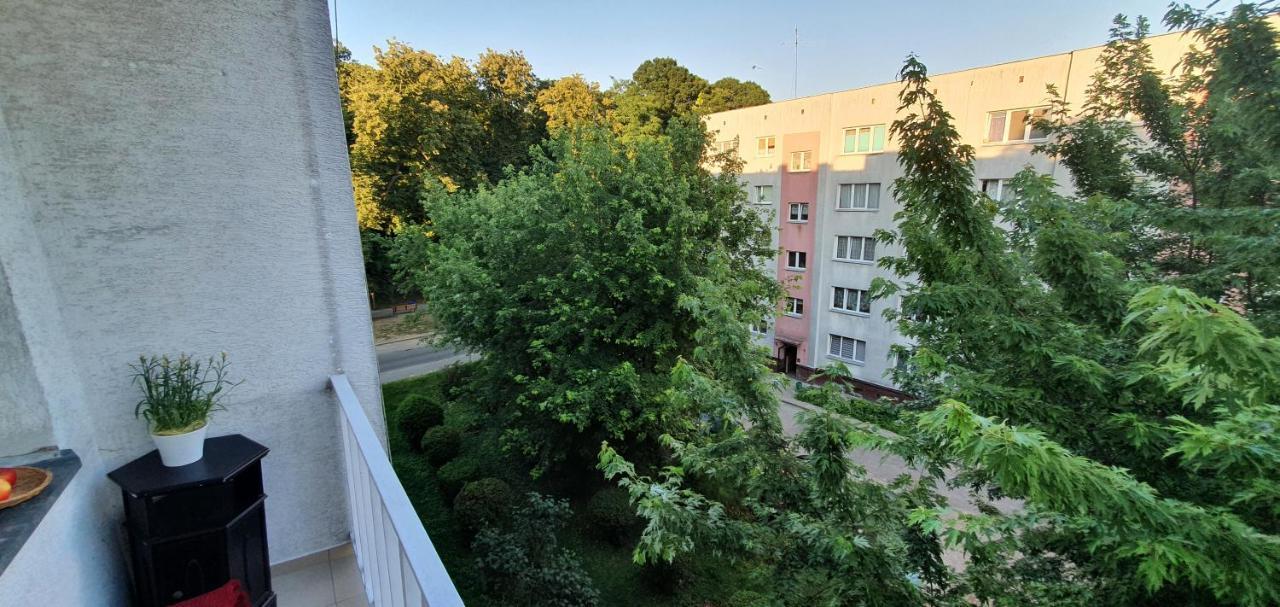 Park Saski Ii Apartment