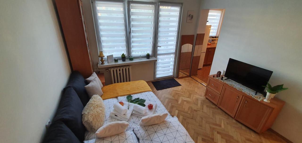 Apartment Park Saski Ii *
